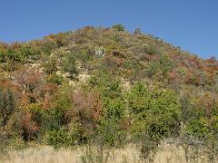 090517_Pilanesberg 025